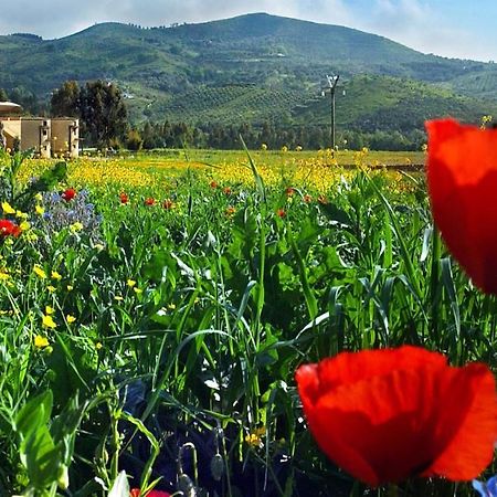 Villa Agriturismo La Petrosa à Ceraso Extérieur photo