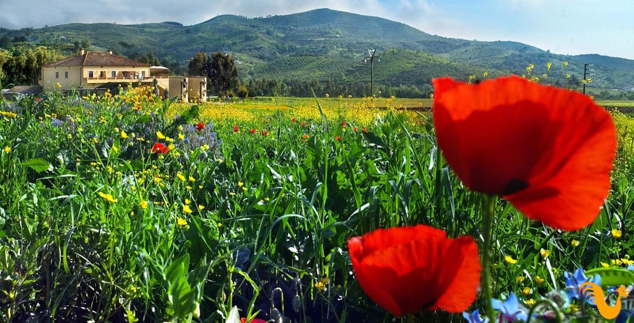 Villa Agriturismo La Petrosa à Ceraso Extérieur photo